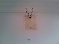 Sitio da campainha (640x480).jpg