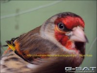 image-B4B7_50AE78FE.jpg