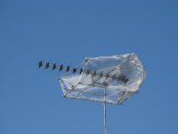 img_2614.jpg