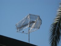 img_2613.jpg
