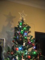 estrela de Natal.jpg